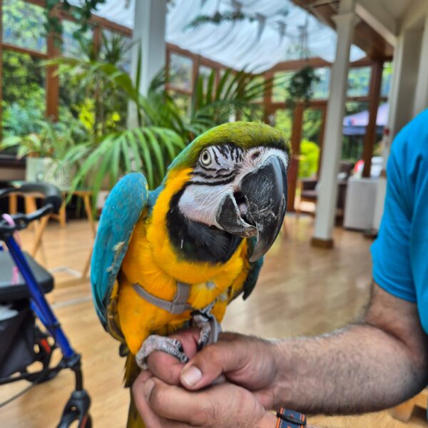 Activities at Moorcroft